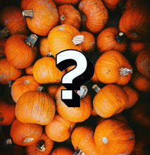 Load image into Gallery viewer, Pumpkins with a question mark in the middle